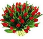 Dzień Seniora w Gminie Miękinia