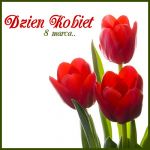 Dzień Kobiet w Lutyni