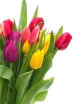 Dzień Kobiet we Wróblowicach