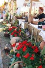 Konkursy na najpiękniejszy wieniec i stoisko