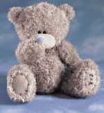 DZIEŃ PLUSZOWEGO MISIA W RADAKOWICACH