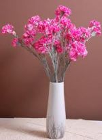 Jak minął Dzień kobiet w Księginicach