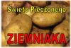 Dzień Pieczonego Ziemniaka w Łowęcicach